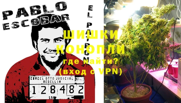 бошки Бородино