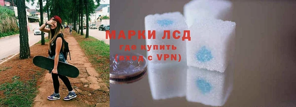 бошки Бородино