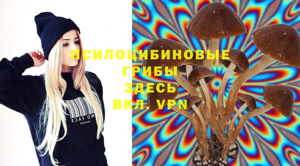 бошки Бородино