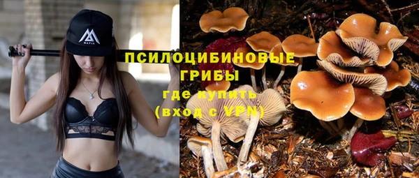 MESCALINE Богородск