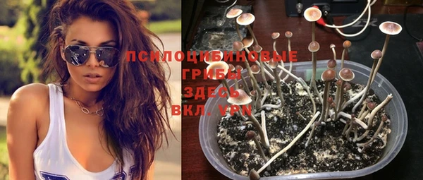 бошки Бородино