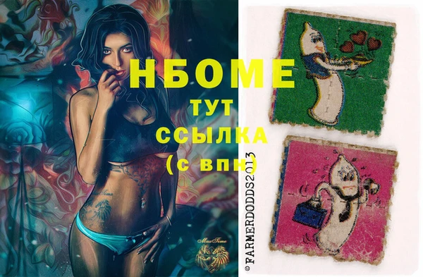 бошки Бородино
