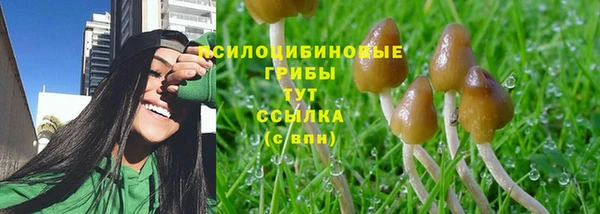 Альфа ПВП Бугульма