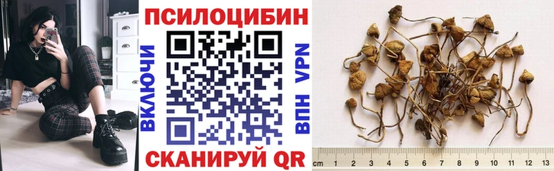 продажа наркотиков  Жуковский  Галлюциногенные грибы MAGIC MUSHROOMS 